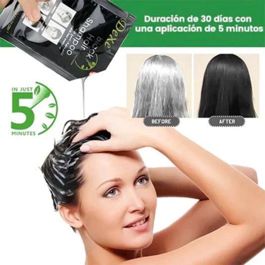 SHAMPOO PINTA CANAS NEGRO